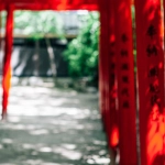 Духовные практики медитации с символикой Gates of Olympus